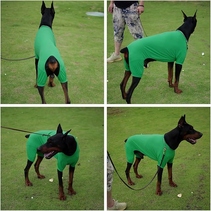LoveLongLong Dog Jumpsuit with UV Protection and Quick-Dry Fabric for Spring Summer Pet Pajamas Leaf Green S