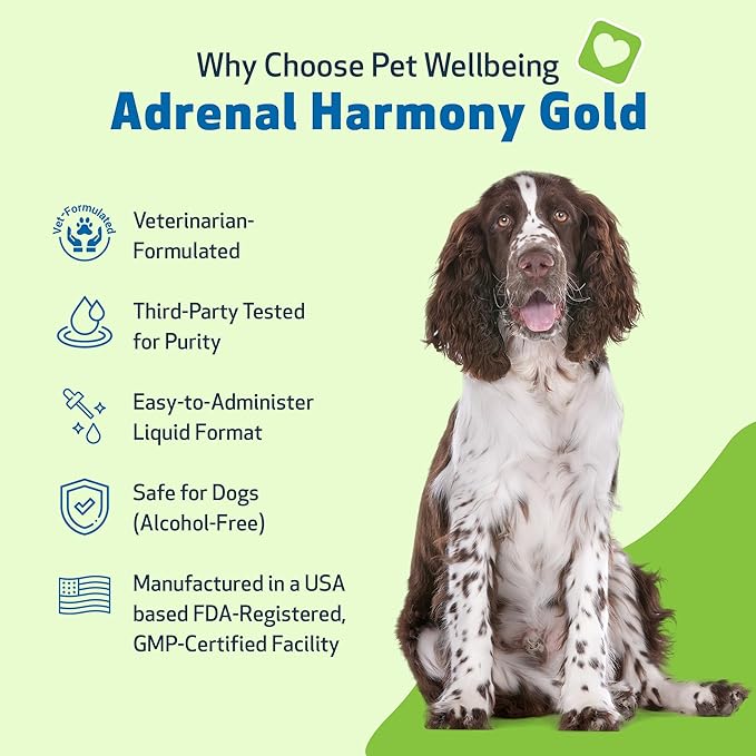 Pet Wellbeing Adrenal Harmony Gold for Dogs - Vet-Formulated - Adrenal Gland Supplement for Dogs, Ashwagandha, Astragalus, Bacopa, Holy Basil - Herbal Supplement – 4 oz (118 ml)
