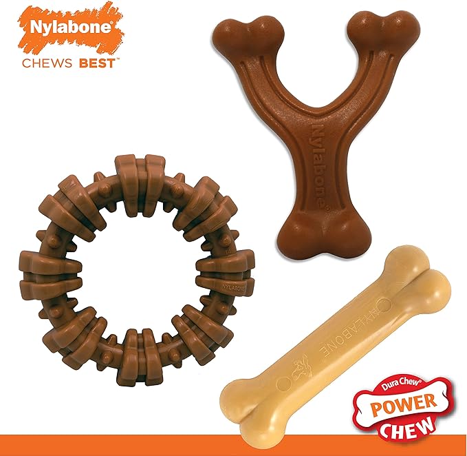 Nylabone Power Chew Customer Favorites Bundle, Tough Dog Toys for Aggressive Chewers, Christmas Dog Toy & Thanksgiving Dog Toys, Small Dogs - Up to 25 lbs (3 Pack)