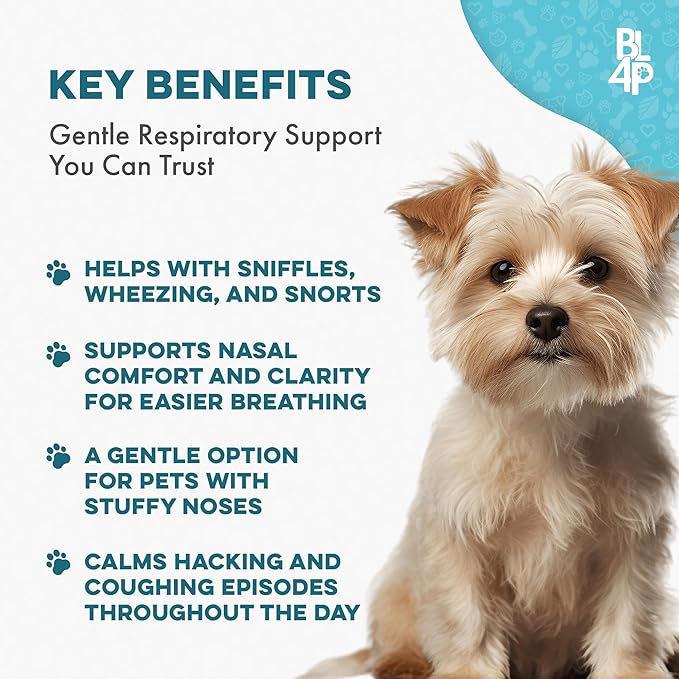 Breathe Easy Natural Cough Relief for Dogs - Gentle Senior Dog Respiratory, Congestion and Sneezing Relief Plus Trachea and Airway Support for Brachycephalic Dogs Ensures Calm Walks & Restful Sleep
