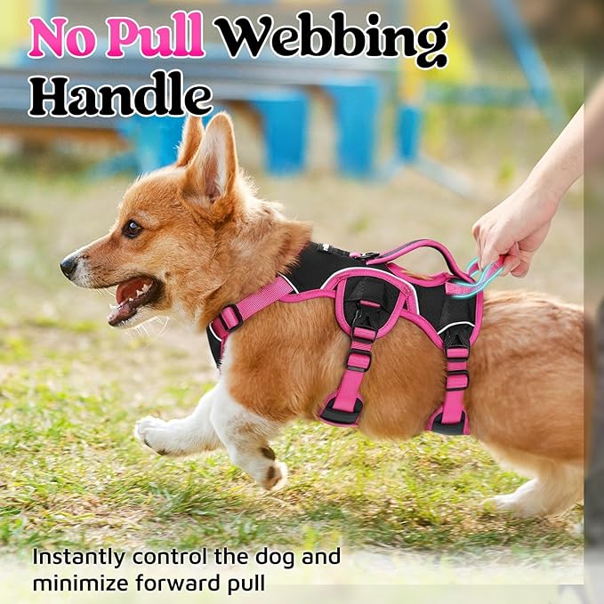 rabbitgoo Escape Proof Dog Harness Small Sized Dog, Soft Padded Full Body Pet Harness, Reflective Adjustable Vest with Lift Handle and Leash Clip for Walking Hiking Training, Pink & Black, S