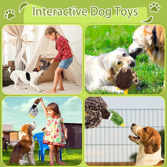 Stuffing-Free Squeaky Duck Dog Toys 2-Pack: Hollow-Body Gray Plush (2 Squeakers) & Mallard (4 Squeakers) | Safe Chew Design for Aggressive Dogs