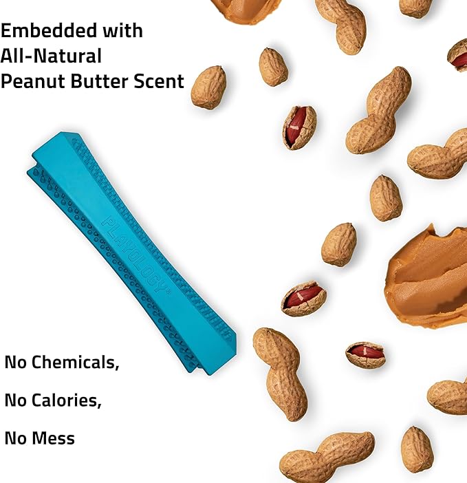 Playology Dog Toys | Dental Chew Stick Gentle on Gums | Jumbo Peanut Butter Scented Toy - Easy to Clean and Made from Non Toxic Materials