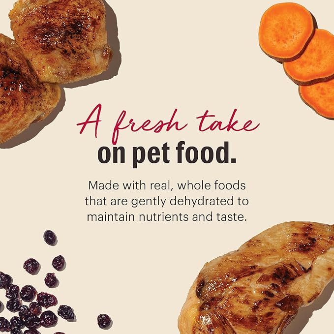 The Honest Kitchen Dehydrated Grain Free Chicken Cat Food 4 Pound (Pack of 1)