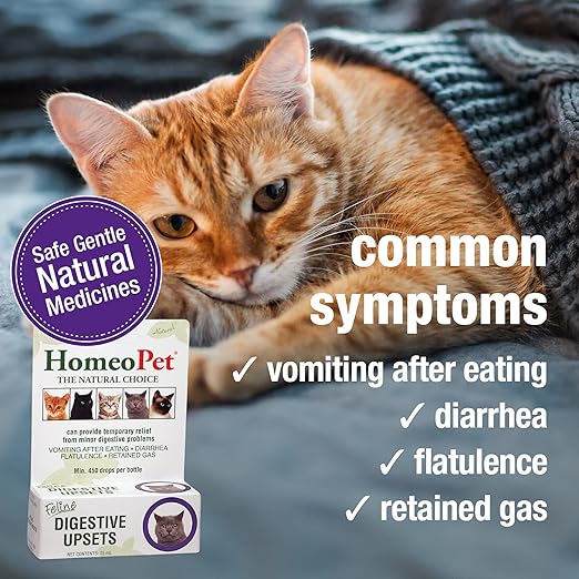 HomeoPet Feline Digestive Upsets, Safe and Natural Cat Digestive Support, 15 Milliliters
