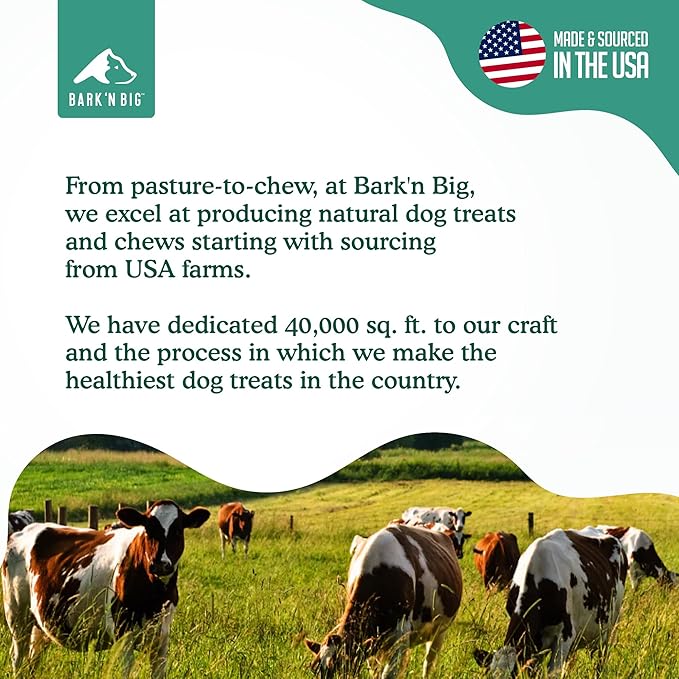 BARK'N BIG 12 Inch Monster Bully Sticks for Large Dogs - Colossal Bullarge Size - Made in USA - Single Ingredient Dog Chew - Super Premium Pizzle Sticks - Jumbo Beef Pizzles for Large Breeds - 1 ct