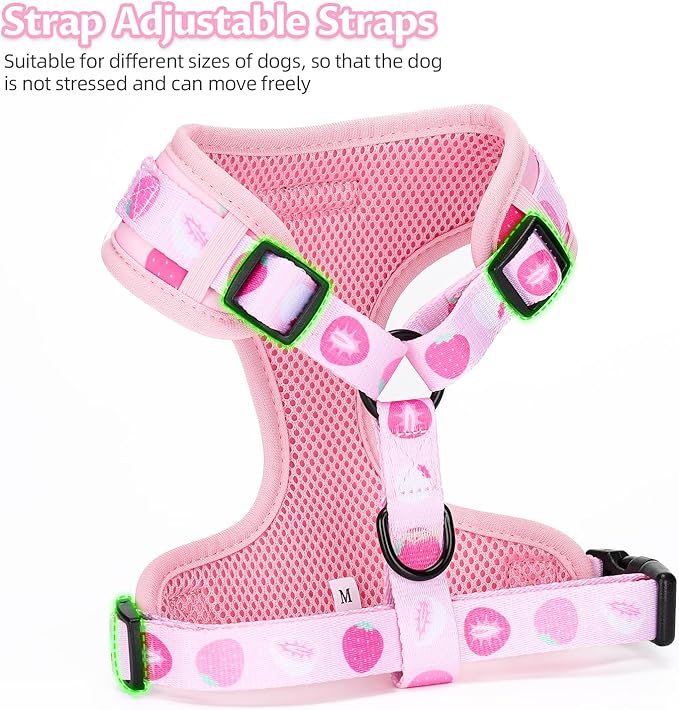 Dog Harness and Leash Set, Adjustable Dog Harness, Dog Leash, No Pull No Choke Puppy Harnesses for Walking Training for Small Medium Pet (Strawberries, M(Chest 15.7-22.1", Neck 12-15"))