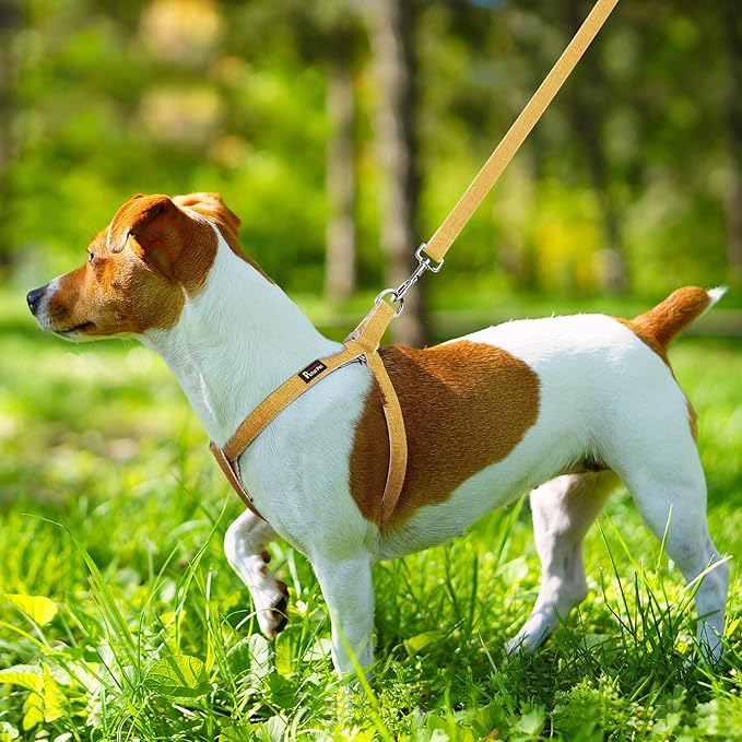 Plutus Pet Cotton Hemp Step in Dog Harness, Sustainable, Lightweight and Escape-Proof, Quick Fit Dog Harness for Puppy Small Medium and Large Dogs, Yellow, XS