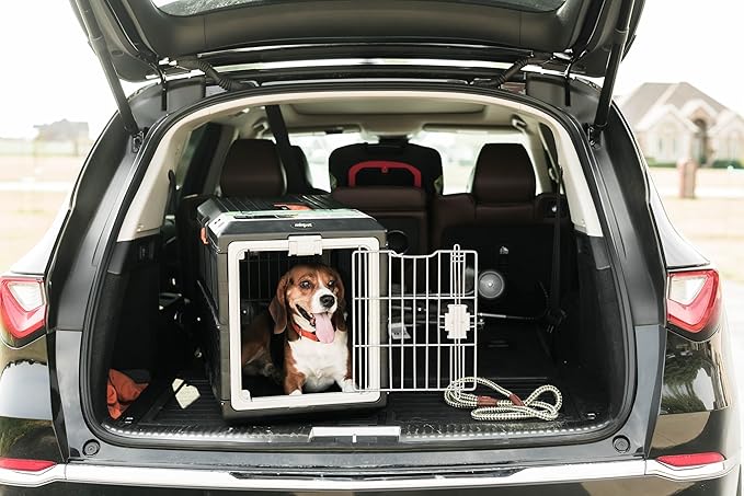 USA Pet Carrier & Crate 35" - Premium Collapsible Design for Medium Cats and Dogs - Portable Kennel for Indoor/Outdoor - 360° Ventilation & Hard Plastic Wall Protection (Orange Handle, Medium)