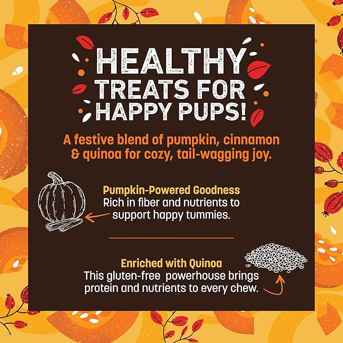 Earth Animal Wisdom Air-Dried Seasonal Pumpkin Spice Recipe Premium Natural Jerky Strips Dog Treats, 4 oz. Bag