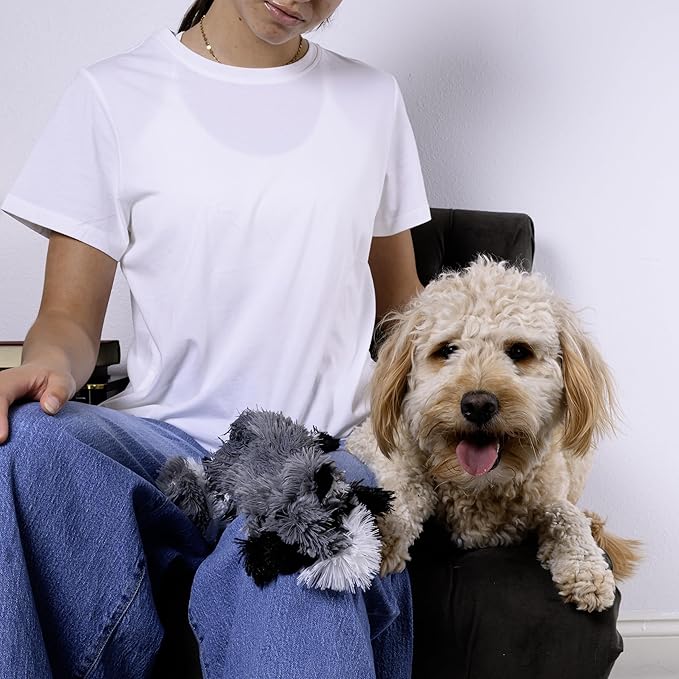 FGA MARKETPLACE Racoon-Duck Flat NO Stuffing NO Squeak Plush Dog Toy, Funny Style Will Entertain Your Pet for Hours, Recommended for Small and Medium Dog 21 INCH Long