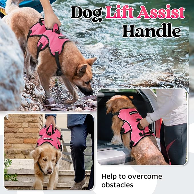 rabbitgoo Escape Proof Dog Harness, Soft Padded Full Body Pet Harness, Reflective Adjustable No Pull Vest with Lift Handle and Leash Clip for Large Dogs Walking Hiking Training, M, Pink