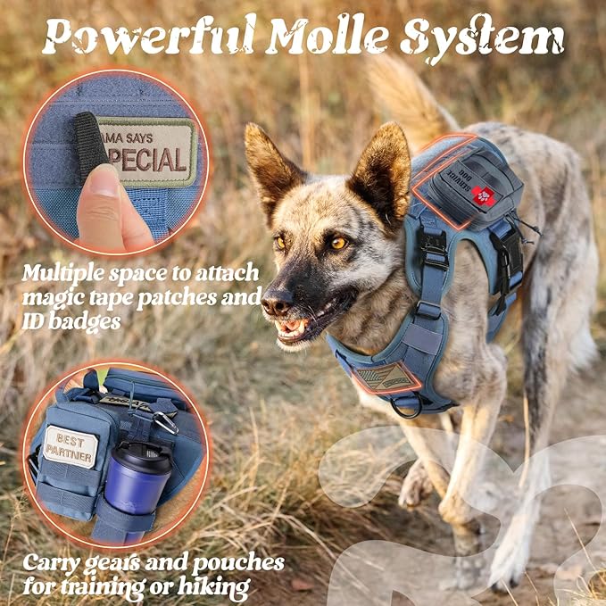 rabbitgoo Tactical Dog Harness for Large, Heavy Duty Pet Harness with Handle, No-Pull Service Vest Large Breed, Adjustable Military Dog Vest for Training Hunting Walking, Blue, L