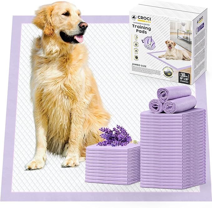 CROCI Dog Pads Extra Large 36x36in, Puppy Pads with Adhesive Tabs Super Absorbent Up to 11 Cups, Disposable (30 Counts)