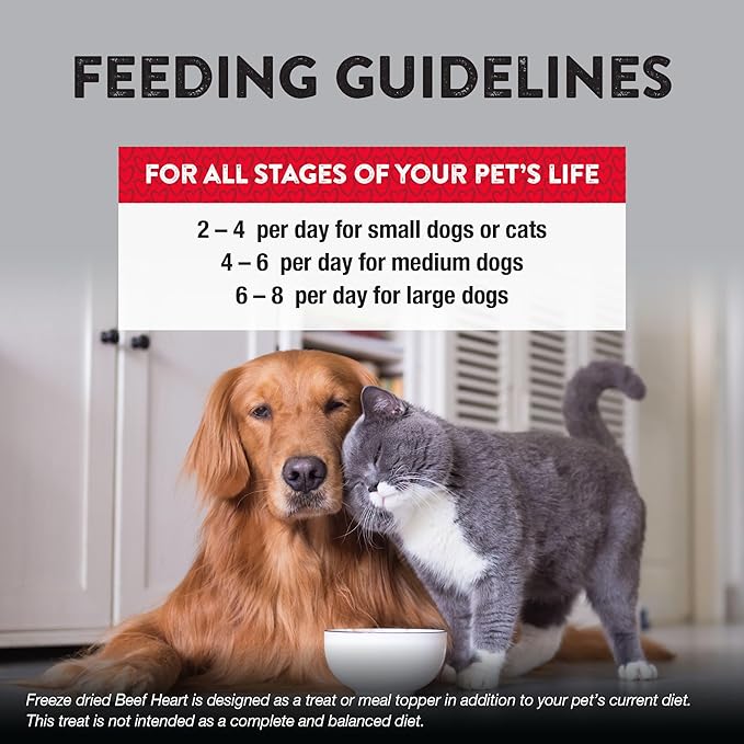 Northwest Naturals Raw Rewards Freeze-Dried Beef Heart Treats for Dogs and Cats - Bite-Sized Pieces - Healthy, 1 Ingredient, Human Grade Ingredients, All Natural, Proudly Made in USA, 3 Oz (Pack of 3)