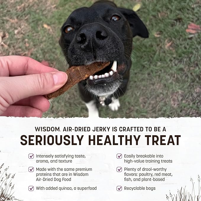 Earth Animal Wisdom Air-Dried Jerky Turkey Recipe | Dog Treats and Snacks | Premium Natural Turkey Jerky Strips | 4 oz | Dog Treats Made in The USA (Pack of 1)