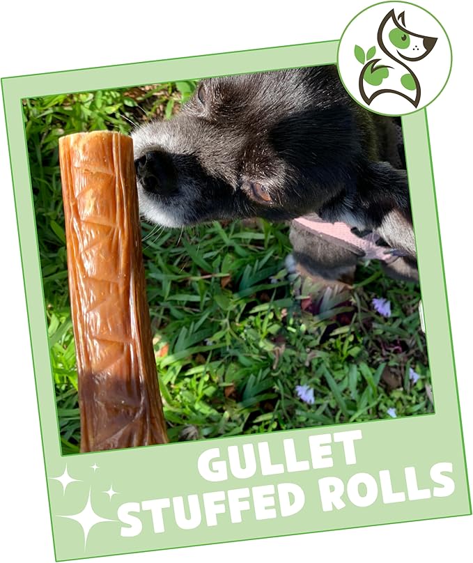 Nature Gnaws Beef Gullet Stuffed Rolls for Dogs (6 Count) - Beef Jerky Chew Treats - Simple Natural Delicious Dog Chews - Training Reward