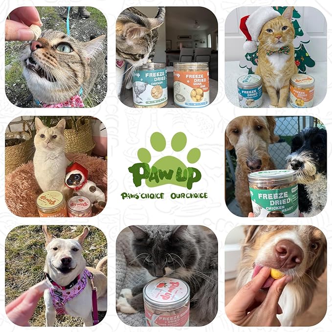 Freeze Dried Chicken Liver Pet Treats, High Protein Freeze-Dried Pet Food for Dogs, Cats, Fresh Ingredient Snacks, 4.6 oz, Rawhide Free&Grain Free