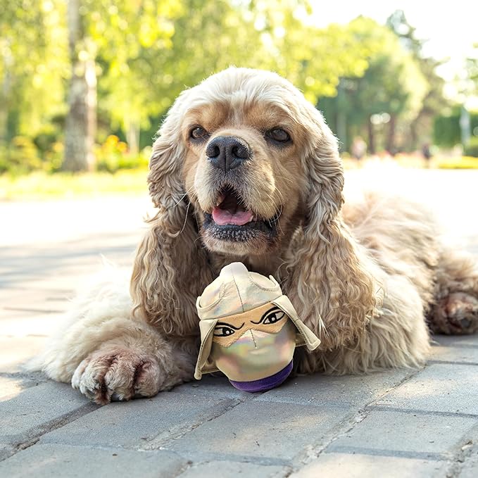 design LAB, Inc. Teenage Mutant Ninja Turtle Official Merchandise | TMNT Toys Stuffed Animal for Dogs | Squeaky Plush Dog Toy | Shredder TMNT