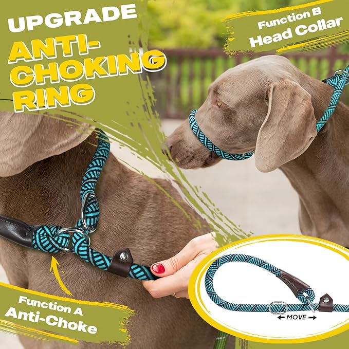 Fida Durable Slip Lead Dog Leash, 6 FT x 1/2" Heavy Duty Loop Comfortable Strong Rope Leash for Large, Medium Dogs, No Pull Pet Training with Highly Reflective, Blue