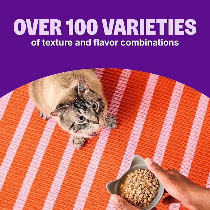 Wellness CORE Signature Selects Shredded Adult Wet Cat Food, Natural, Protein-Rich, Grain Free, 5.3 Ounce, 12 Pack (Poultry Variety Pack)