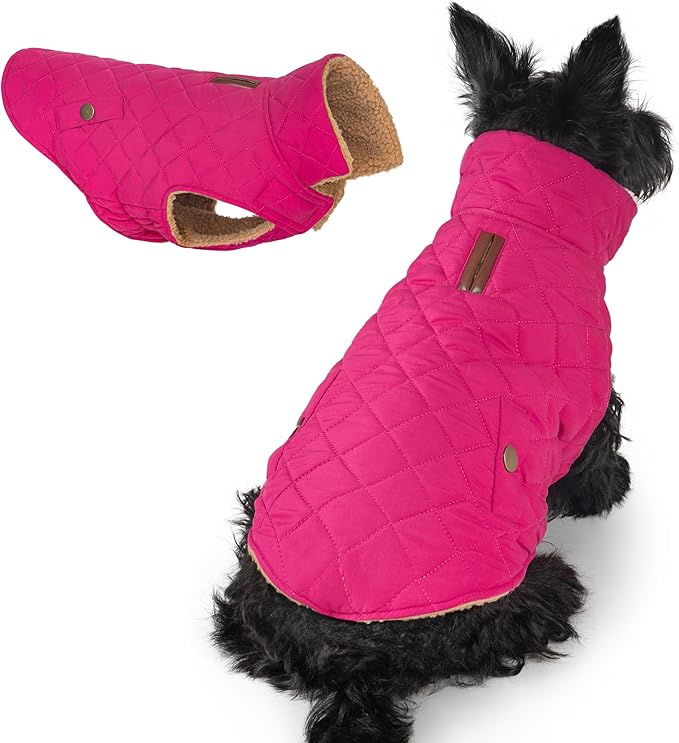 azuza Dog Jacket Waterproof & Windproof Dog Coat for Small Dogs with Thick Fleece, High Collar with Leash Hole, Adjustable Velcro & Elastic Belly, Rose Red L