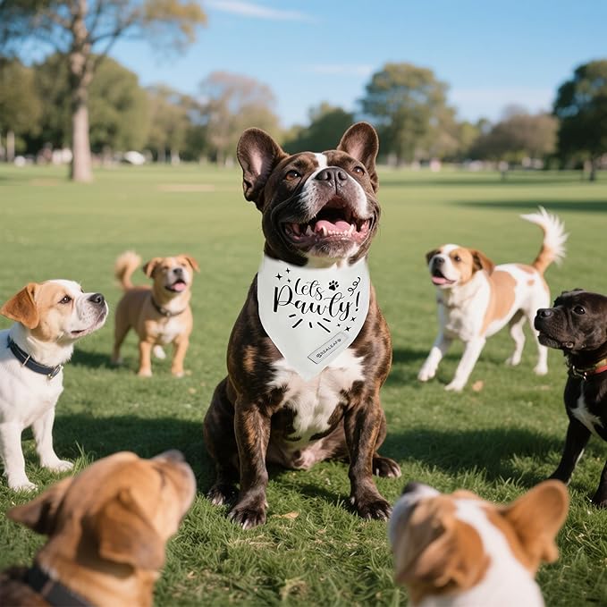 Realeaf Lets Pawty Dog Bandana,Wedding Birthday Party Outfit for Boy and Girl, Premium Durable Fabric, Engagement Announcement for Large and XLarge Dogs (Small)