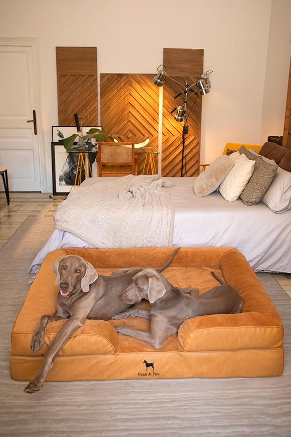 NOAH & PAW Giant Dog Bed XXL, 55x45x11 Inch, Orthopedic Dog Beds, Eggshell Memory Foam Infused with Cooling Gel, Inner Cover, Waterproof, Machine Washable (Faux Leather Sofa Collection)