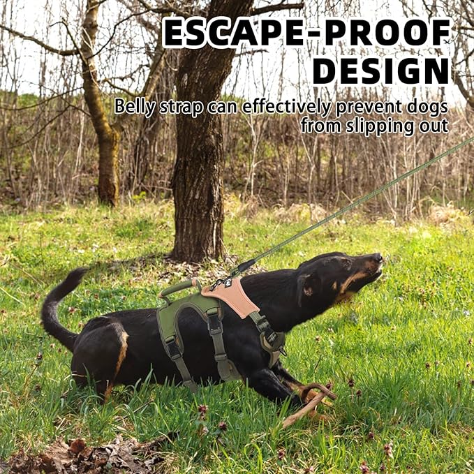 PUPTECK Escape Proof Dog Harness and Leash Set Upgraded No Pull Reflective Dog Vest with Lift Handle, Easy Control Pet Harness for Medium Large Dogs Training Walking Running, Green, L