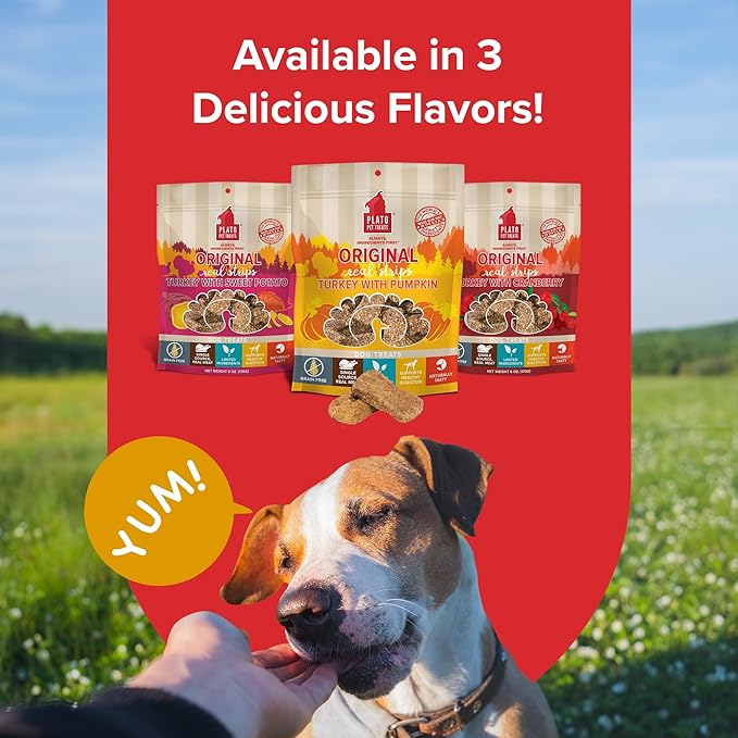 Plato Original Real Strips Turkey & Pumpkin 3oz, Natural, Model: 850002221404