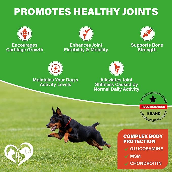 Dog Hip and Joint Supplement & Arthritis Pain Relief Treats - Glucosamine Chondroitin MSM Soft Chews for Senior Dogs - Natural Medicine & Support Mobility - Turmeric Vitamins for Dysplasia - USA
