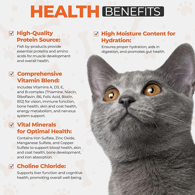 Scoochie Pet Products Chef Scoochie's Tender Seafood Chunks in Gravy Wet Cat Food - Easy Open Pop-Top Cans - Protein & Essential Nutrients - Gourmet Meal for Indoor & Outdoor Cats 12 Cans (14 oz e.)