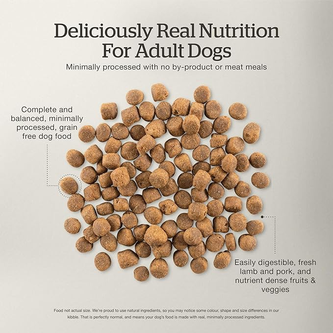 Now Fresh Grain-Free Premium Dry Dog Food with Lamb & Pork, Healthy Kibble for Adults Made with Real Red Meat, Chicken-Free Recipe, Enhanced with Pumpkin & Probiotics for Good Digestion, 22 lb Bag