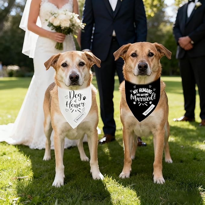 Realeaf My Humans are Getting Married Dog of Honor Dog Bandana,Wedding Outfit for Boy and Girl, Premium Durable Fabric, Engagement Announcement for Large and XLarge Dogs (Small)