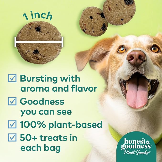 Honest to Goodness Plant Snacks Golden Years Blueberry & Carrot Recipe Dog Treats, Enriched with Omega 3s & Postbiotics, 8oz