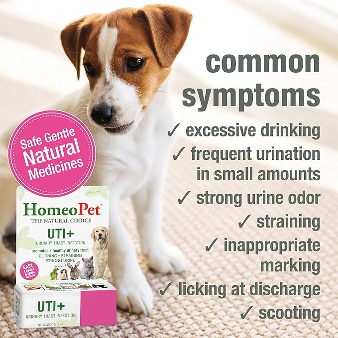 HomeoPet UTI Plus Urinary Tract Relief, Safe and Natural Dog and Cat UTI Supplement, 15 Milliliters