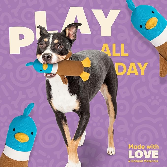 Yomp Plush Duck Dog Toy – Durable Stuffed, No Squeaker Dog Toys with Natural Canvas and Crinkle Paper – Interactive Stuffed Animal for Dogs (2-Pc Quacker Set)