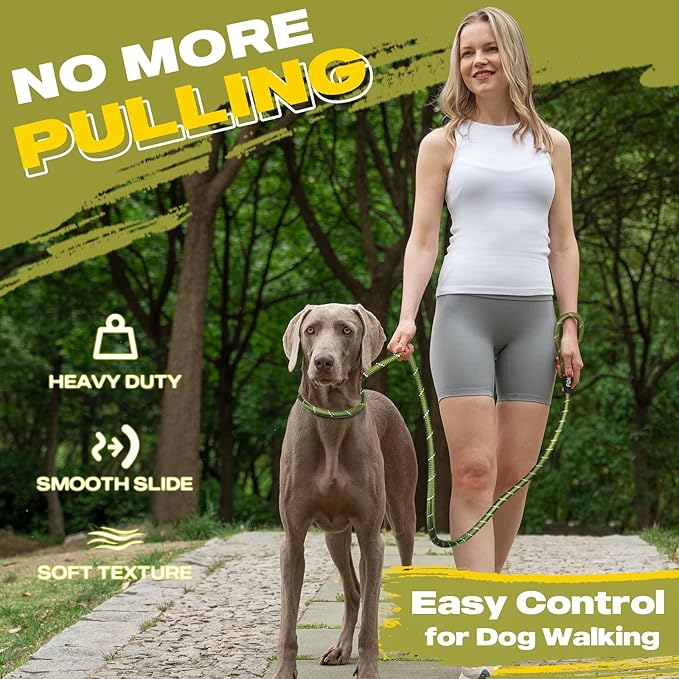 Fida Slip Leads for Dogs - 4 FT x 1/2" Heavy Duty Comfortable Strong Rope Leash for Large, Medium Dogs - No Pull Pet Training Leash with Highly Reflective, Green