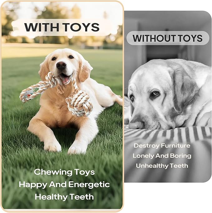 PetiFine Chew Toys for Dogs 4 Pack, Dog Rope Toy for Aggressive Chewers, Interactive Rope Ball Natural Cotton, Dog Tug of War Toy for Teeth Cleaning