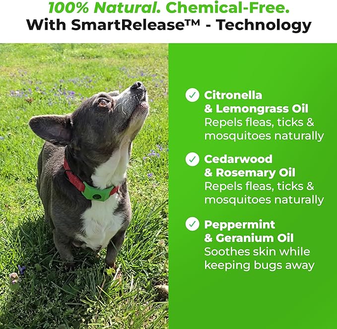 FurLife Pink Dog Tag, Flea and Tick Prevention for Dogs - Waterproof Pendant for Collar, Safe for All Breeds