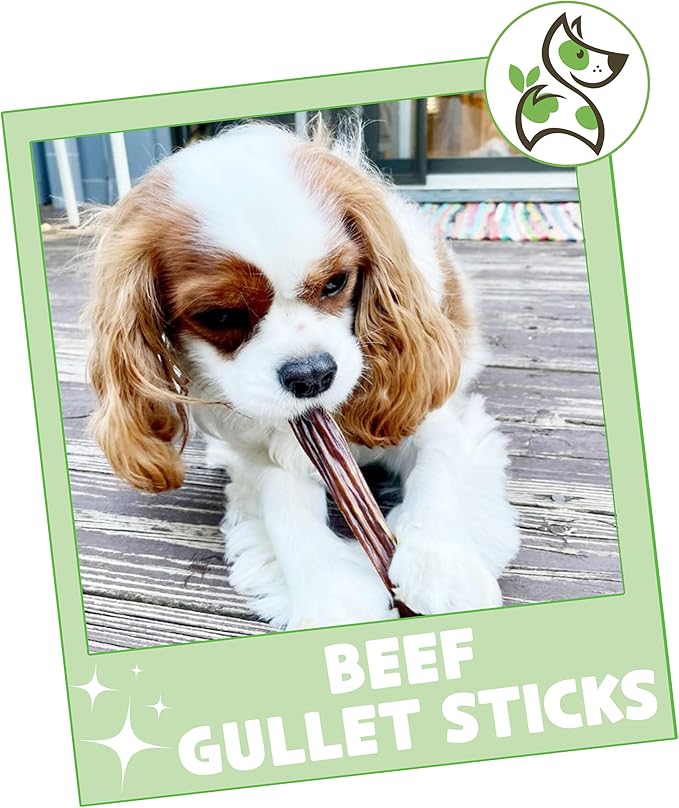 Nature Gnaws Beef Gullet Sticks for Dogs 5-6" (30 Count) - Natural Beef Jerky Stick Dog Chew Treats - Rawhide Free