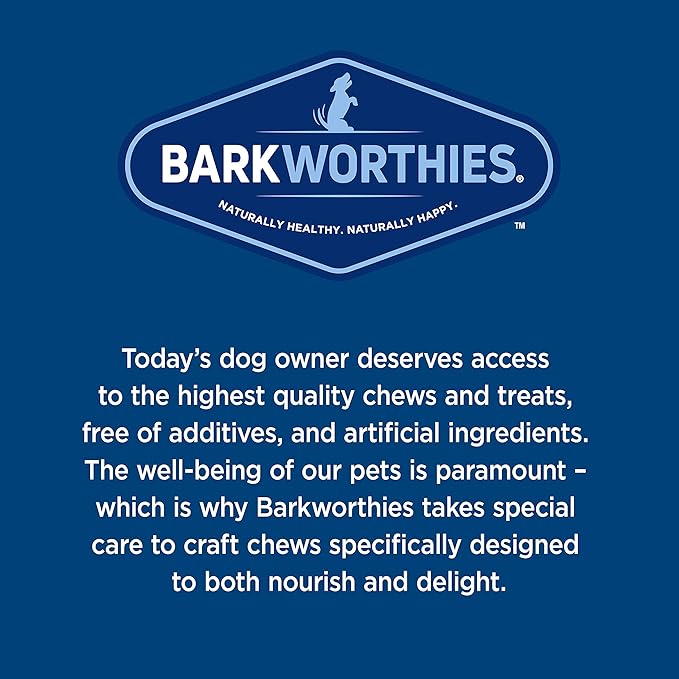 Barkworthies Medium Himalayan Yak Cheese - 4 Count (Pack of 1) - All-Natural, Durable, Long-Lasting, Gourmet Dental Treat