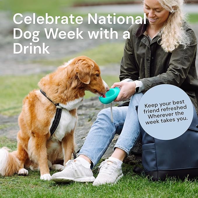 MalsiPree Leak Proof Portable Dog Water Bottle & Dog Travel Water Bottle Dispenser with Bowl - 12 oz, Blue - Food Grade Plastic- Puppy Essentials - Pet Travel Portable Doggy Bowl