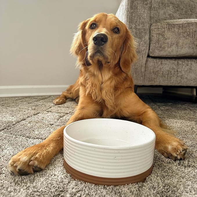 Mora Ceramic Pet Bowl Size Medium - Food/Water Dish for Large Puppies, Cats, Retrievers, Medium Sized Dogs, ect. 28oz or 4 Cups - Basic Bowls for Your Dog or Cat, Mix and Match for a Set - Vanilla