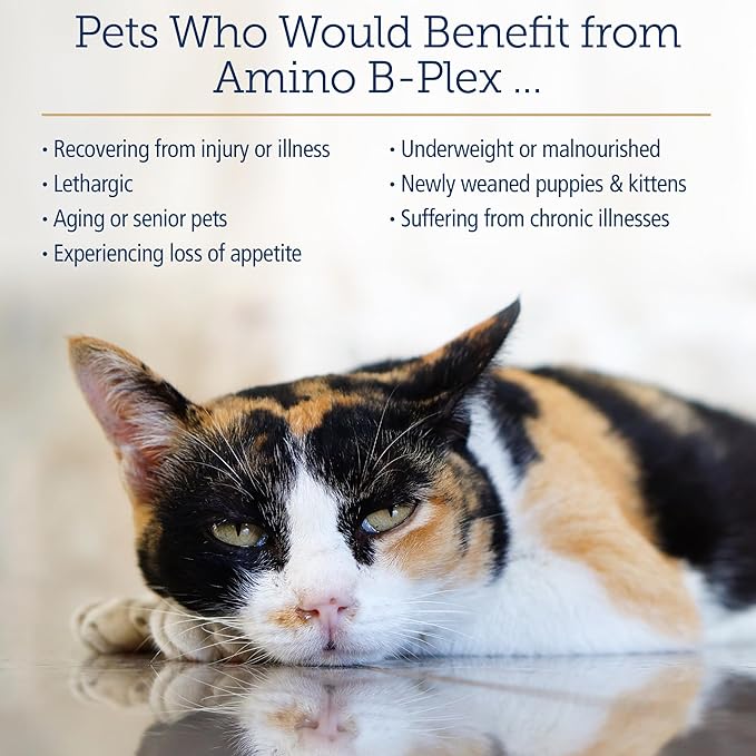 Rx Vitamins Amino B Plex Cat & Dog Supplement - Vitamin B Complex Liquid Plus Amino Acids for Dogs & Cats - Appetite Booster and Weight Gainer Cat & Dog Vitamins - 2 oz