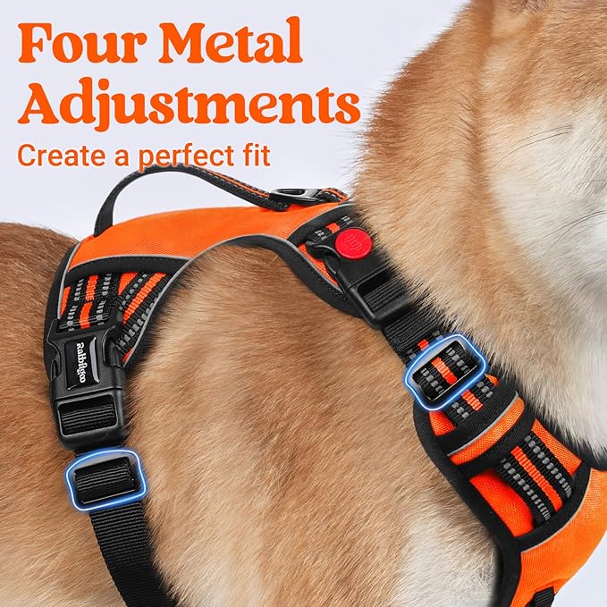 rabbitgoo Dog Harness for Large Dogs, No Pull Pet Harness with Soft Padded Handle, Adjustable Reflective Vest with 3 Buckles, Easy Walking Harness with 2 Leash Clips, Orange, L