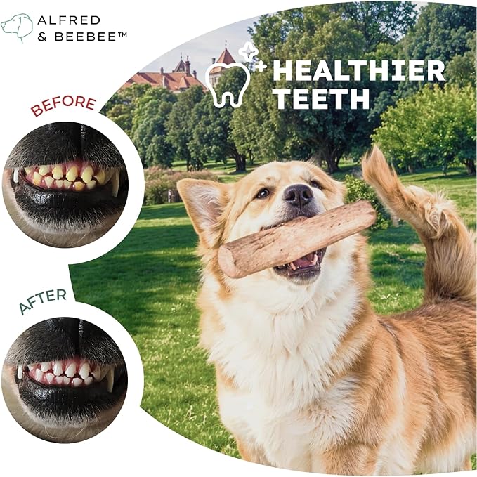 Alfred & Beebee Eco-Friendly Natural Coffee Wood Dog Chew Toy 4 Pack - for Regular Chewers - Dog Dental Chew - Small Medium - Coconut Ball, Rope Stick S - M