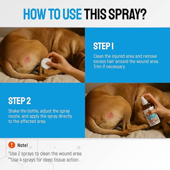 Hot Spot Treatment for Dogs – Silver Wound Spray Helps with Irritation, Bites, Burns, Rashes, Itch, Scratching – Better Use with a Dog Cone – 4 oz