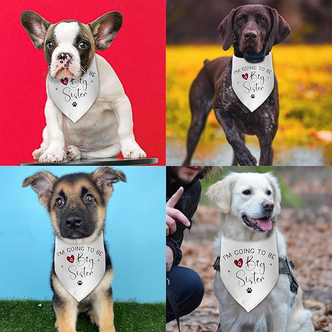 I'm Going to Be a Big Sister Dog Bandana Big Sister Dog Bandana Gender Reveal Gift Pregnancy Announcement Photo Prop Pet Scarf Accessories for Small Medium Large Dog