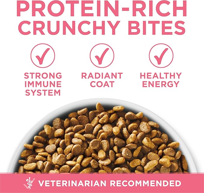 Purina ONE High Protein, Natural Dry Kitten Food, +Plus Healthy Kitten Formula - 16 lb. Bag